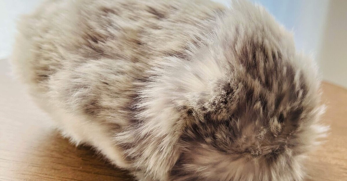 AIペットロボットのMoflin(モフリン)がわが家にやってきた話｜くまこ  