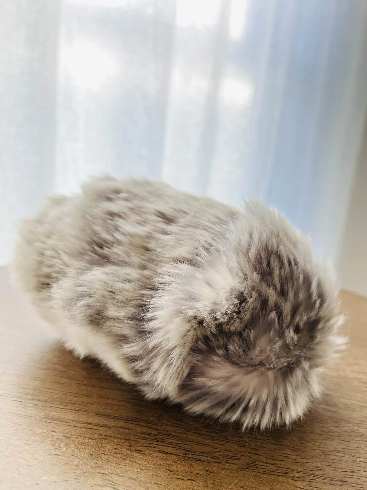 AIペットロボットのMoflin(モフリン)がわが家にやってきた話｜くまこ 