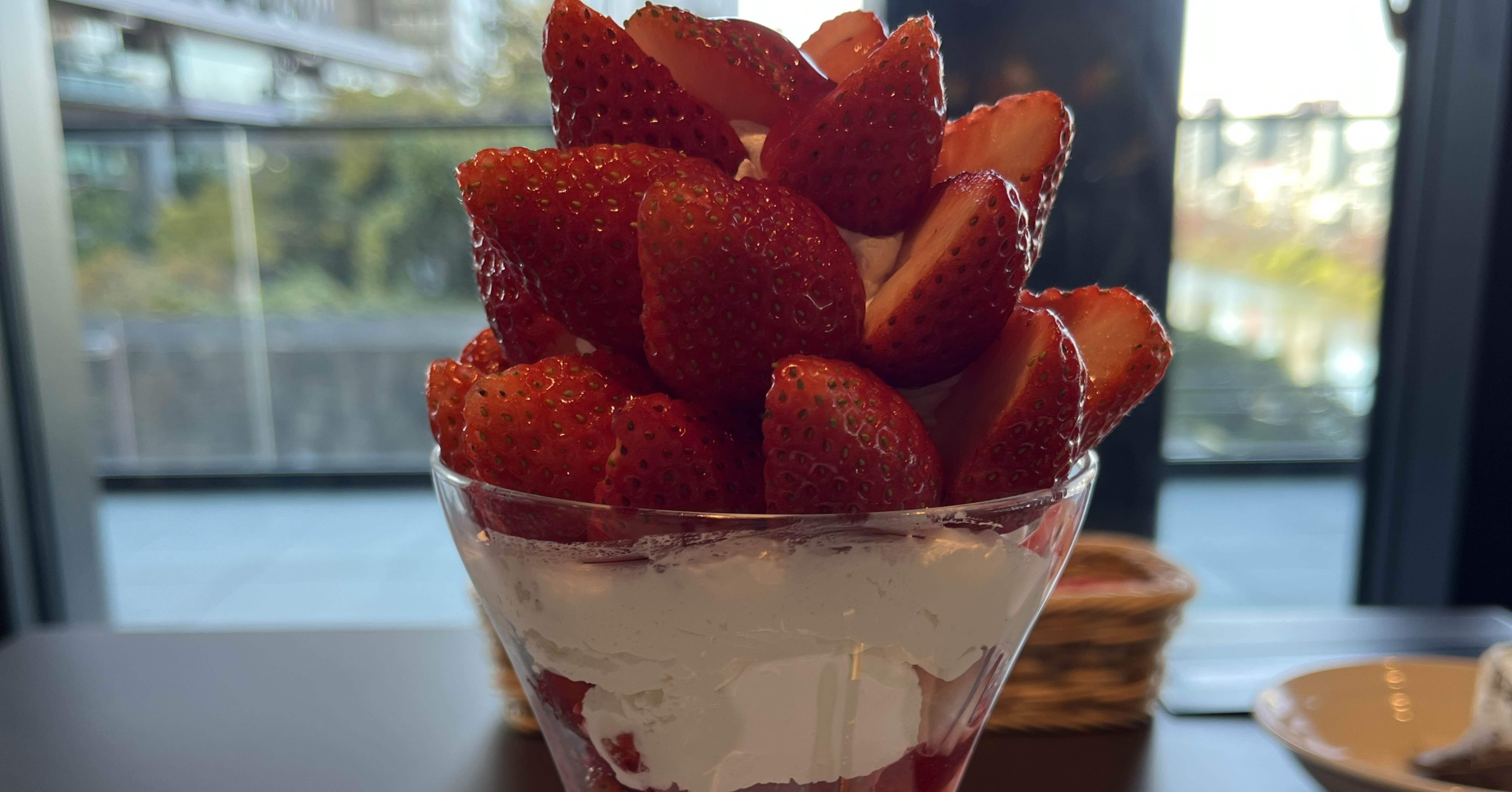 7c92b96a66d301108ba55f8f2b469c