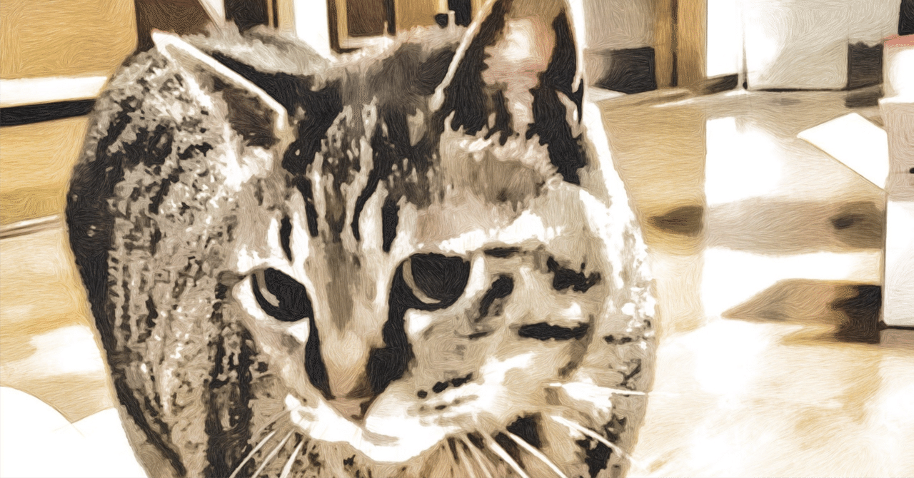 写真展「ご当地ねこ」へ行ってきました。｜mika