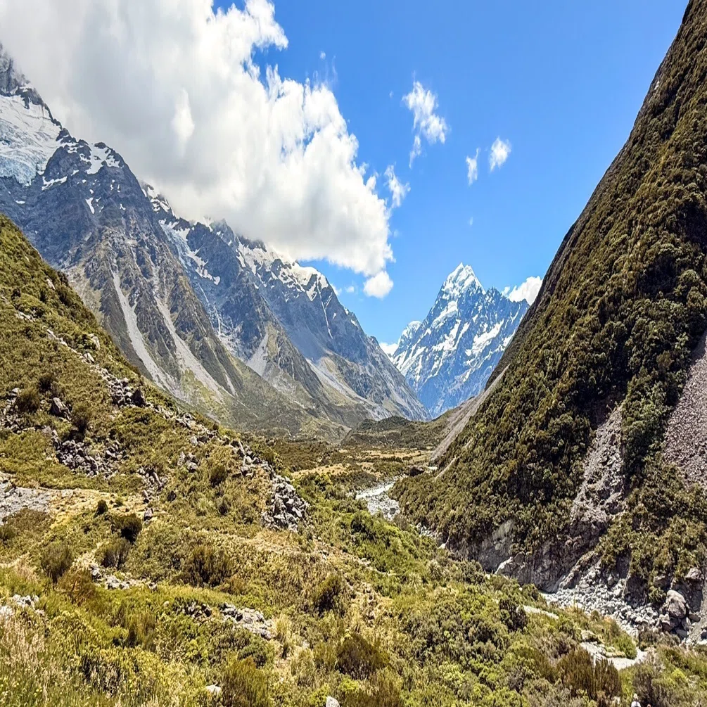旅計画】ニュージーランド編 🇳🇿｜じょ