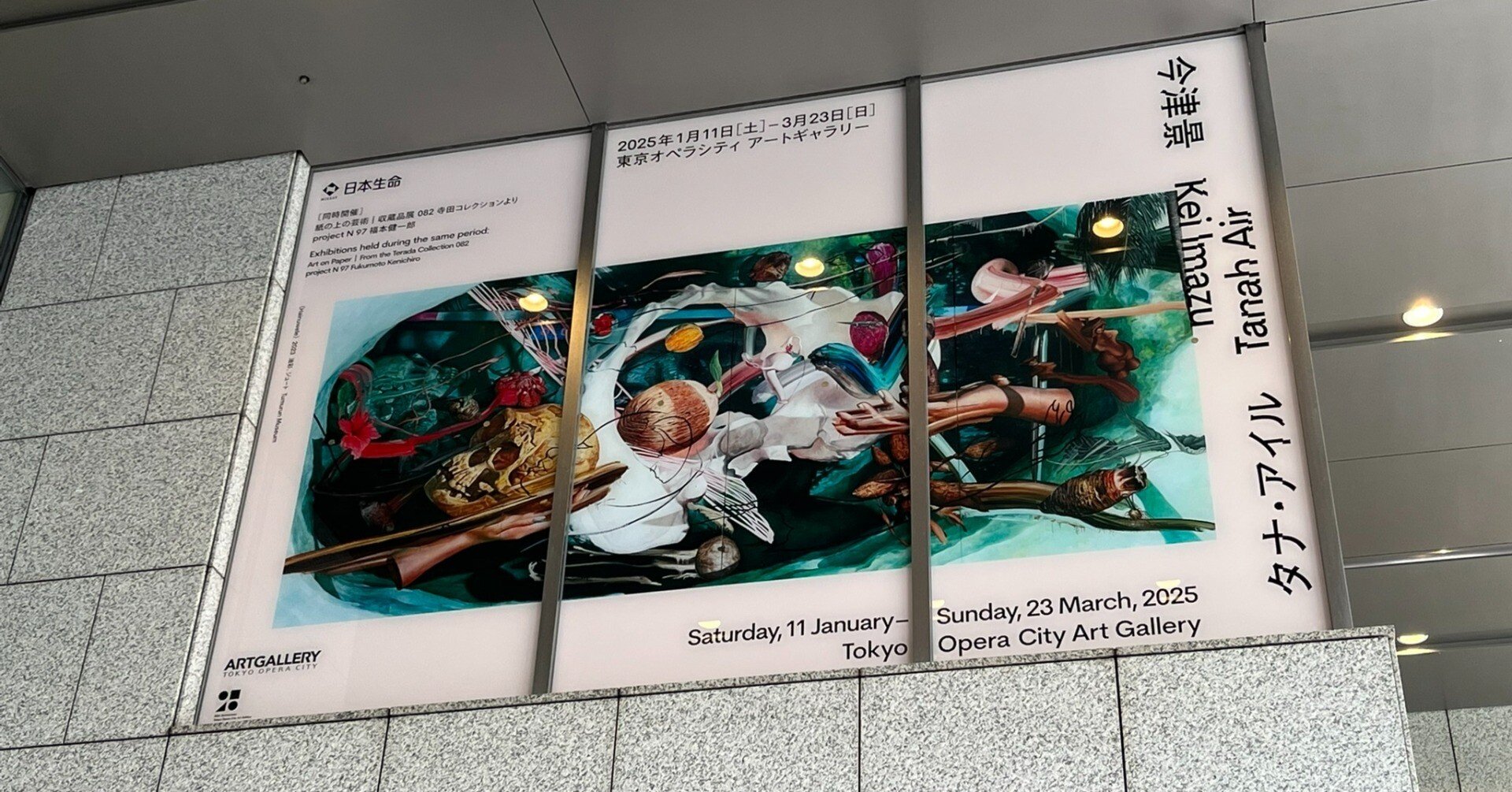 展覧会 #33 今津景 タナ・アイル@東京オペラシティ アートギャラリー