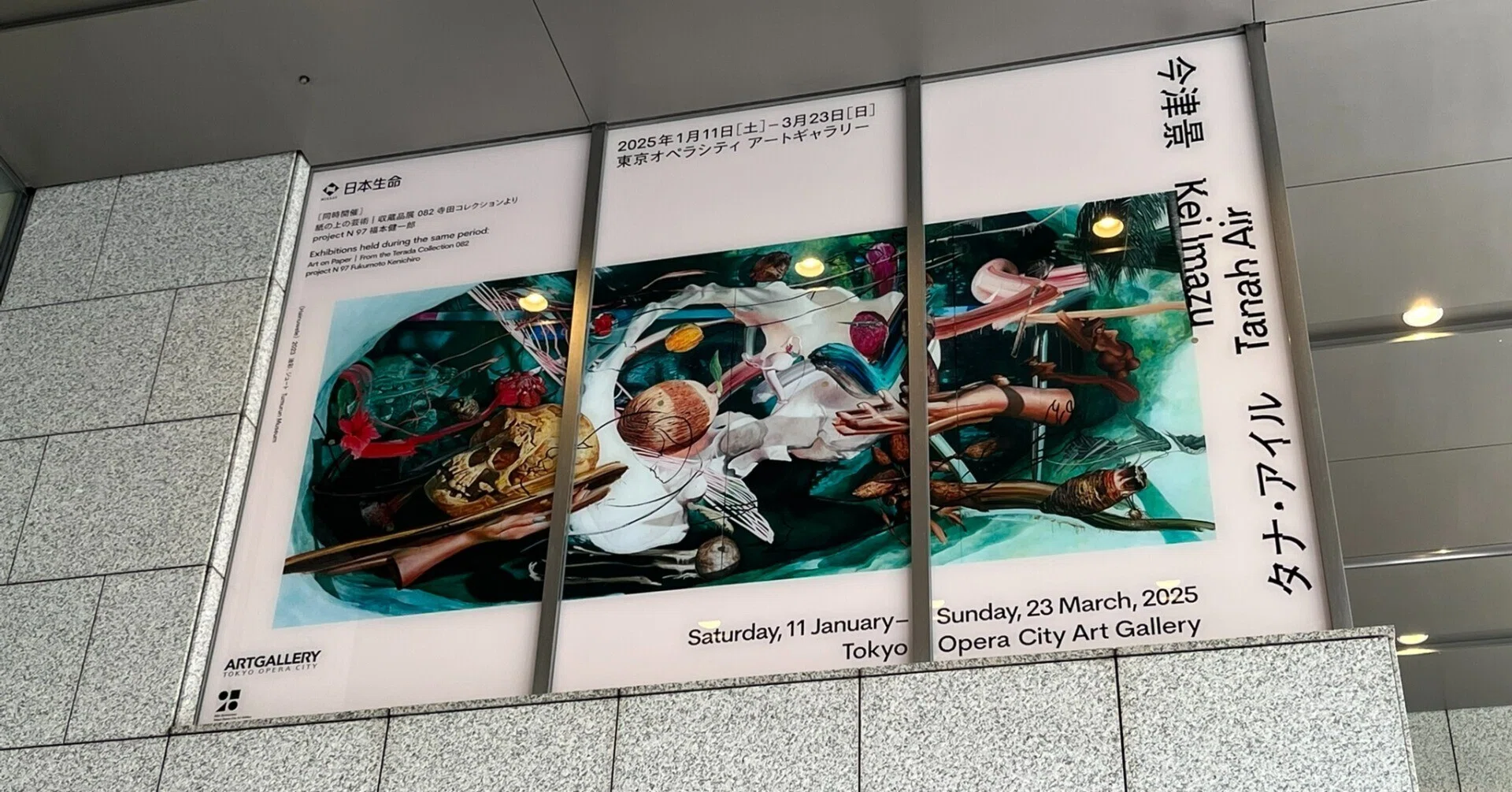 展覧会 #33 今津景 タナ・アイル@東京オペラシティ アートギャラリー