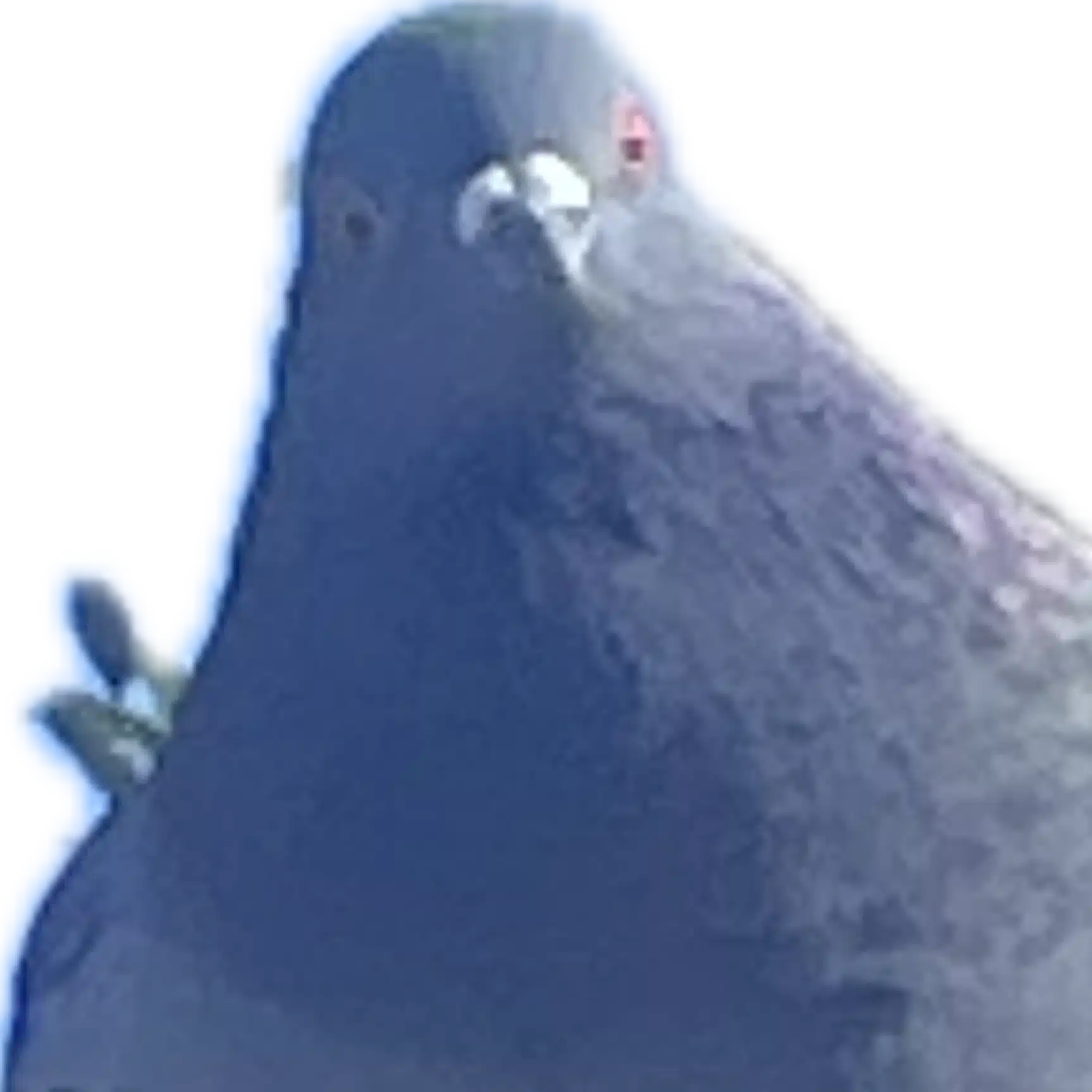 てん