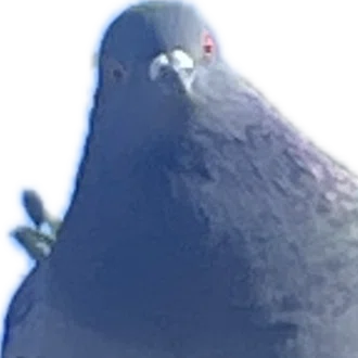 てん