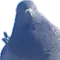 てん