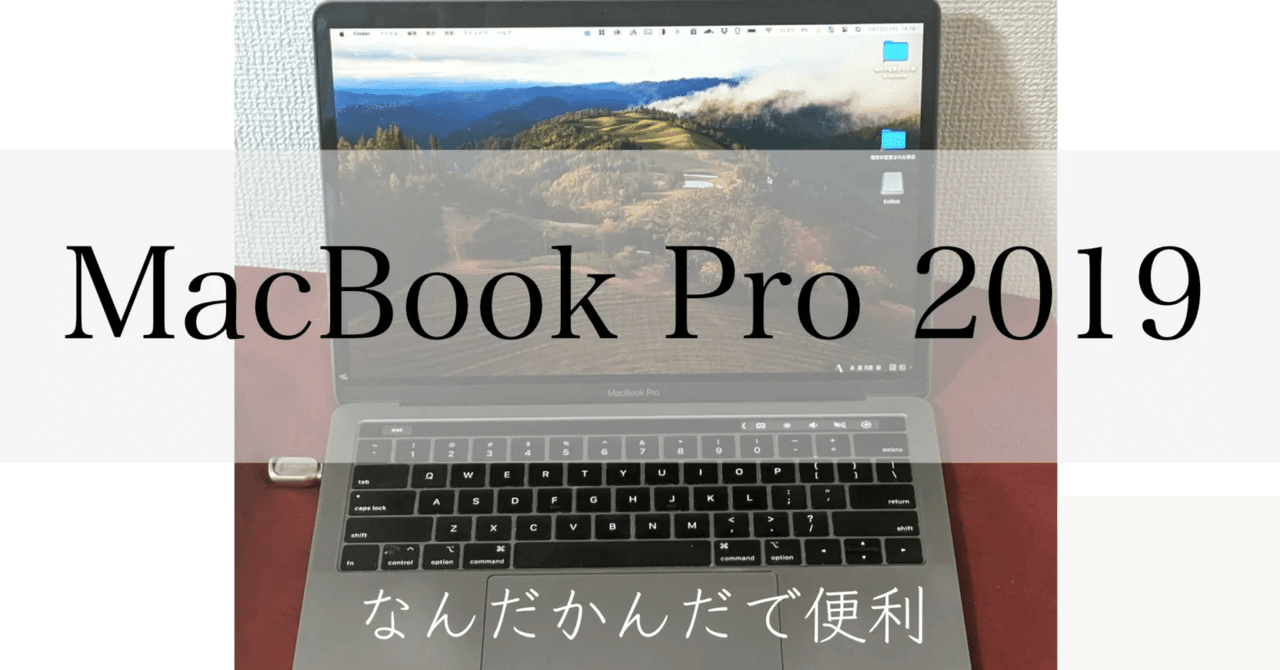 本日限定早いもの勝ち　美品　MacBook pro 2019 13.3 inch MacBook Pro Apple 13.3inch MUHR2J/A A2159 2019 選べるOS