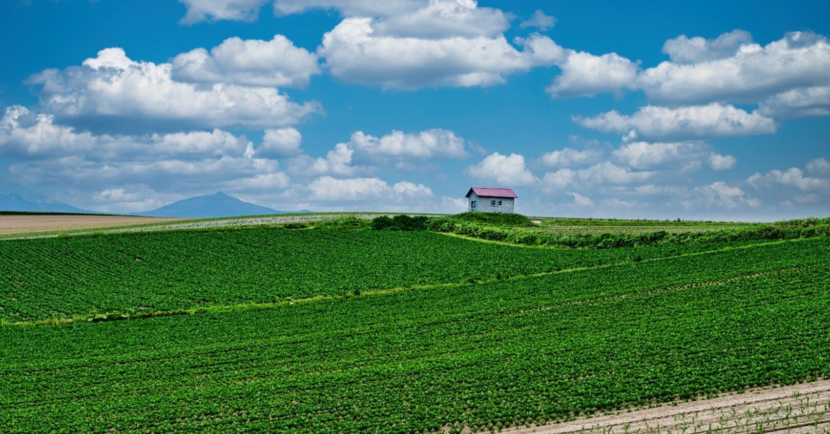 fa5e4777bc106626162881c2169354