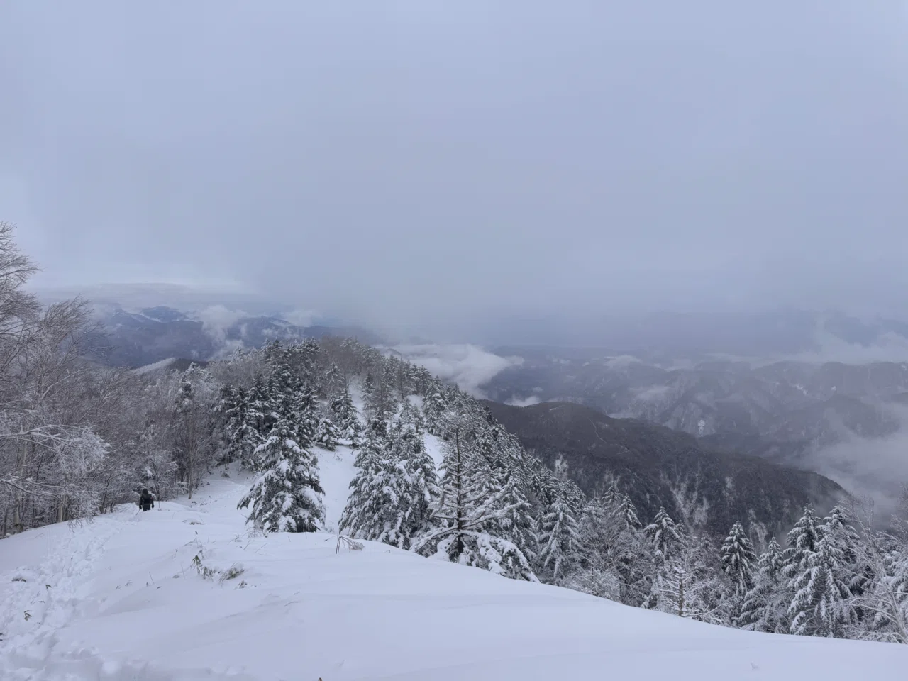 日本画　恵那山　冬 登山Level78.初めての岐阜 百名山は恵那山｜ErikonB