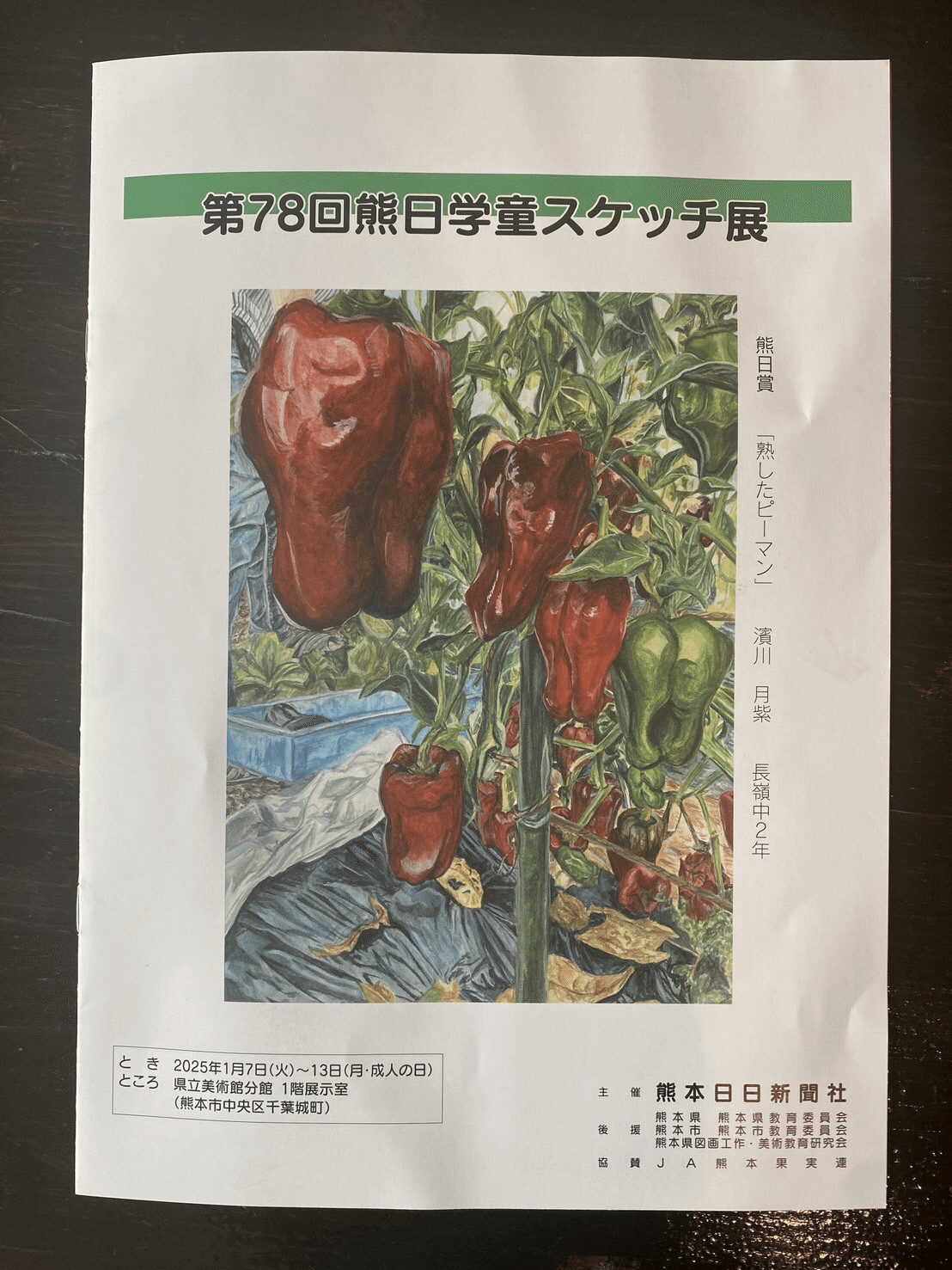 熊日学童スケッチ展(那奈実記者)｜くまモン記者団