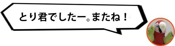 海外子会社がある場合の税務調査 設立時費用 とり君 Note