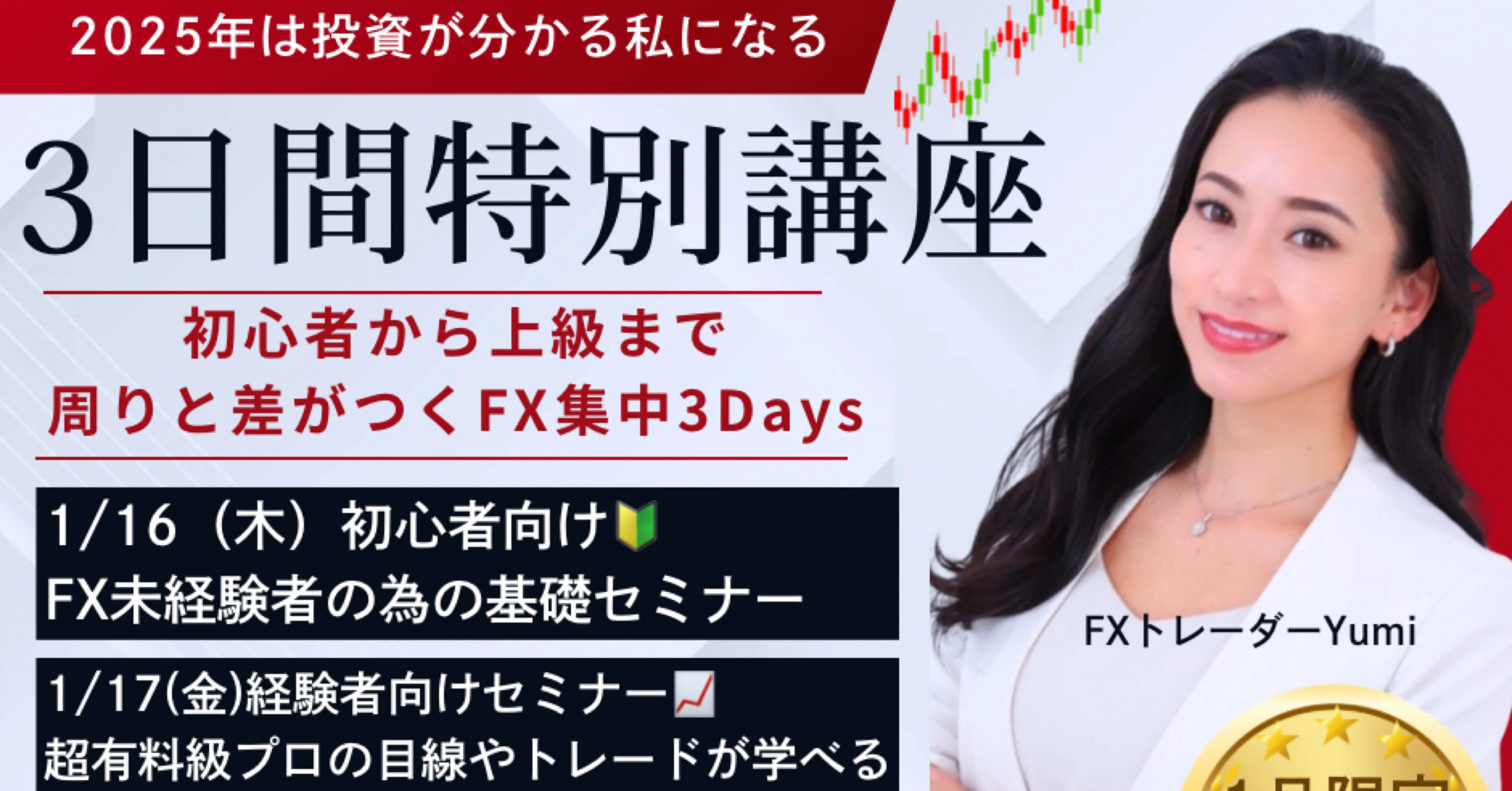 ☆美品☆FX集中講座 1日30分の投資で安全に資金を増やし続けるFX投資