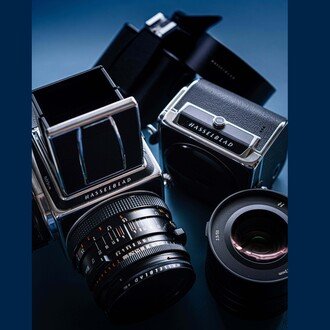 昨日の緑🌱とオールドレンズの話◎【 503CW+CF80mm】（Hasselblad