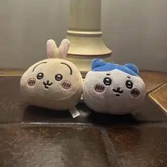 ねこ。