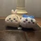 ねこ。