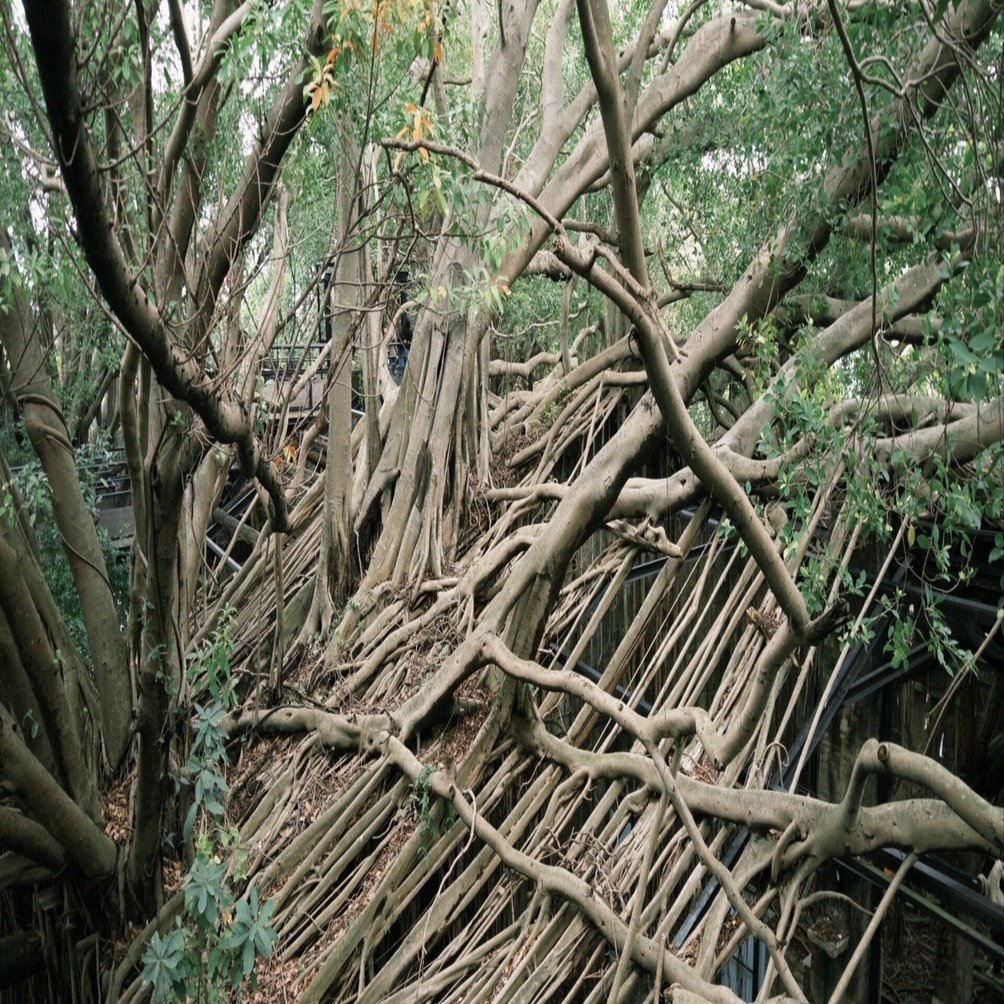 台湾人彼女と台湾一周：オランダとの歴史が分かる台南の「安平古堡