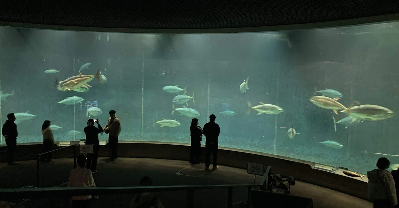 葛西臨海水族園」泳ぐマグロが観れる【水族館訪問⑨】｜ジェイソン
