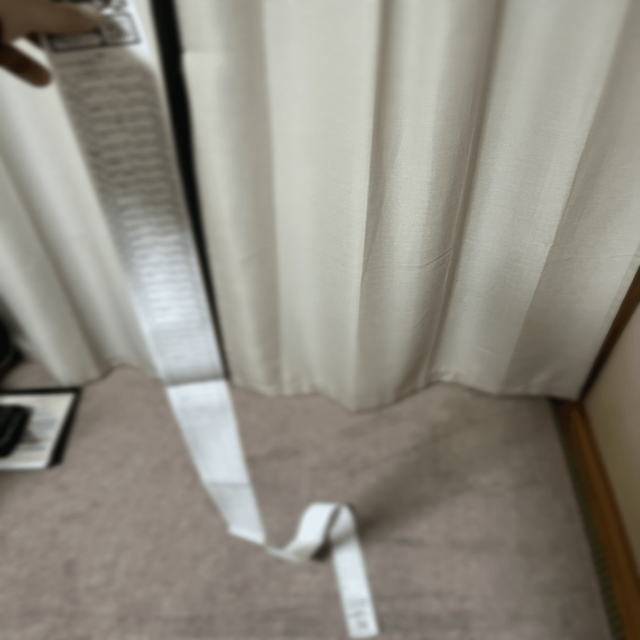 体験談】オタクグッズ断捨離を決行しました【音楽サブスク移行】｜うおまち