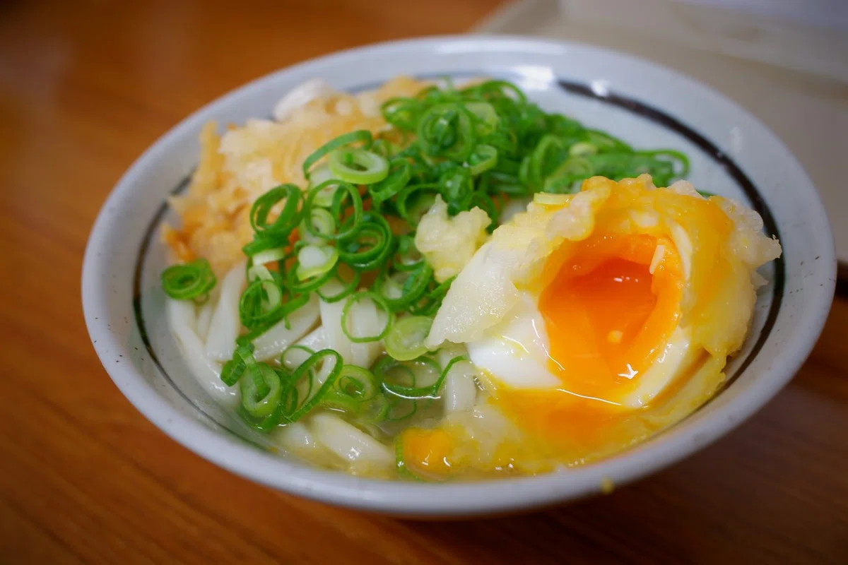 うどんのサンプル