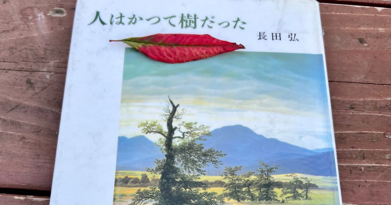 傍らに樹のように、ただここに在るほかない｜みうぱ。