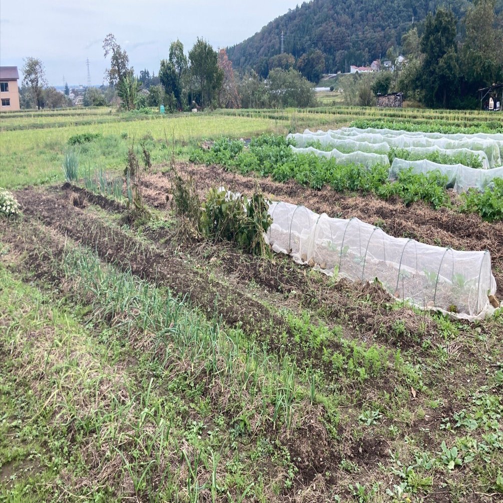 農地借地 農業振興地域制度／種子島 西之表市