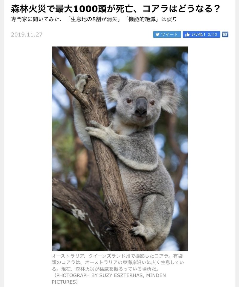 オーストラリア政府は コアラを絶滅危惧種に指定して 医療費負担 ガガーリンノート紹介aae F 宮咲アンナ Note オーストラリア政府は コアラを絶滅危惧種に指定して 医療費負担 ガガーリンノート紹介aae F 宮咲アンナ Note