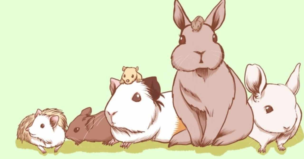 ネズミ年だけど ハリネズミはネズミじゃないよと言うお話 Licht 小野りひと イラストレーター Note