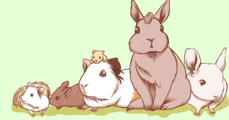 ネズミ年だけど ハリネズミはネズミじゃないよと言うお話 Licht 小野りひと イラストレーター Note