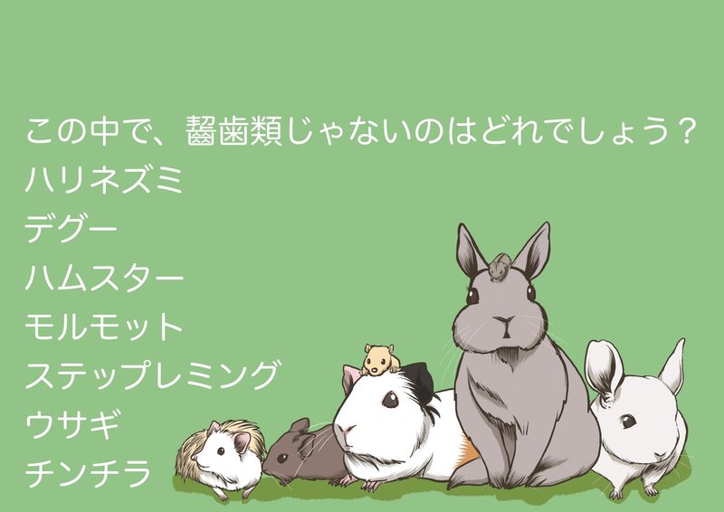 ネズミ年だけど ハリネズミはネズミじゃないよと言うお話 Licht 小野りひと イラストレーター Note