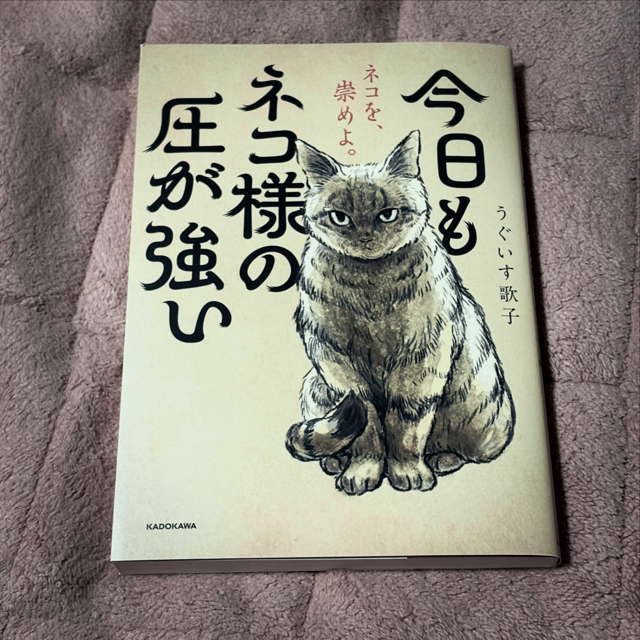 X（旧：Twitter）」のTLで見かけて、ポチッと。ネコ様を崇めよ、讃えよ