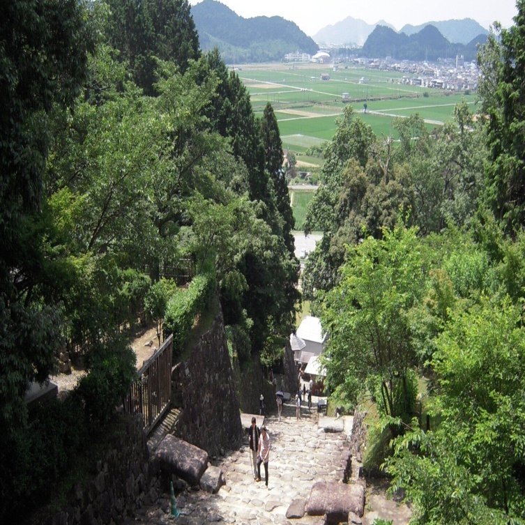 8 戦国時代に興味を持ったきっかけは、この城だった。発掘調査で整備