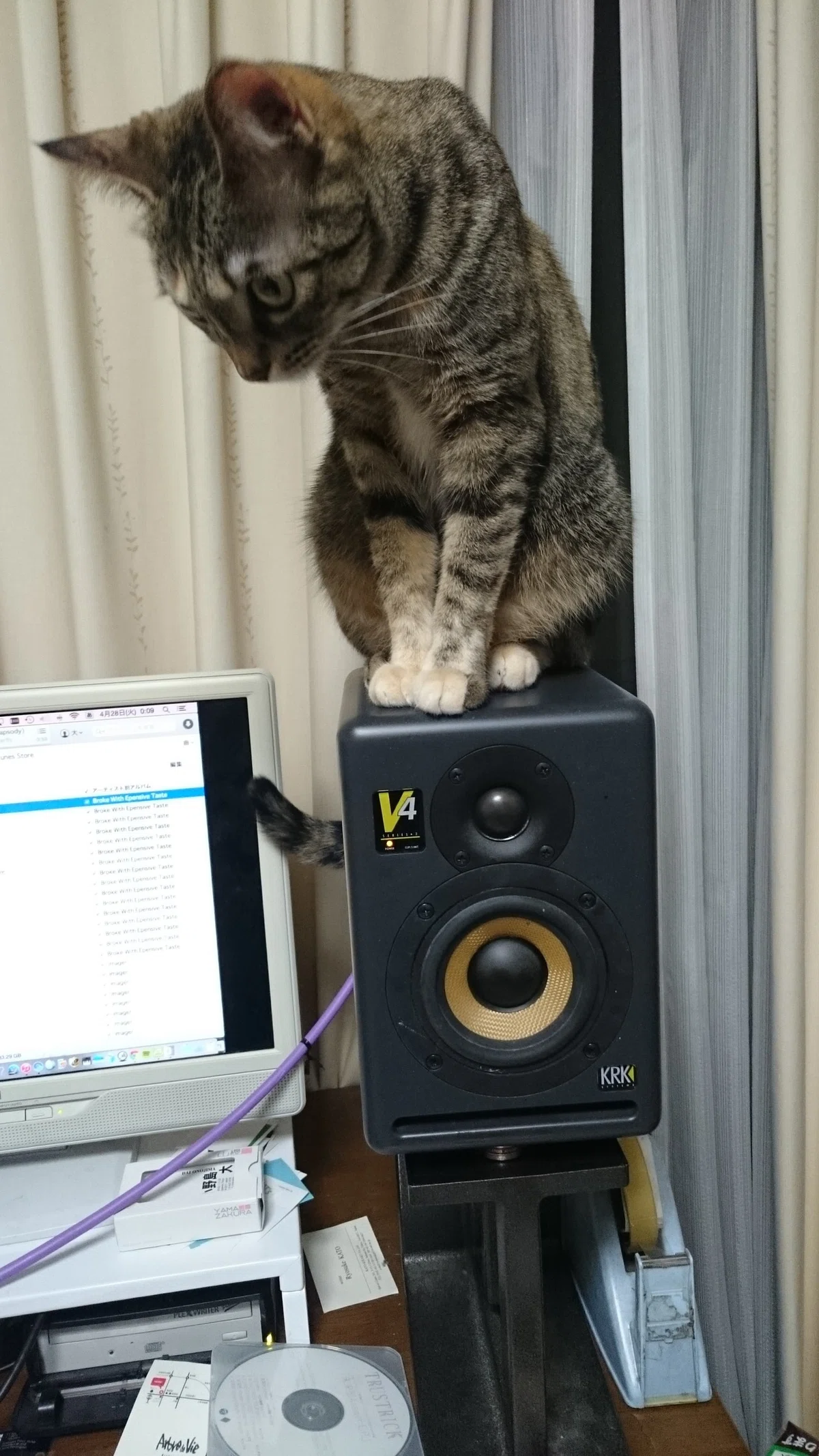スピーカーを買い換えた~SOULNOTE SM10（長文注意）｜小野島 大