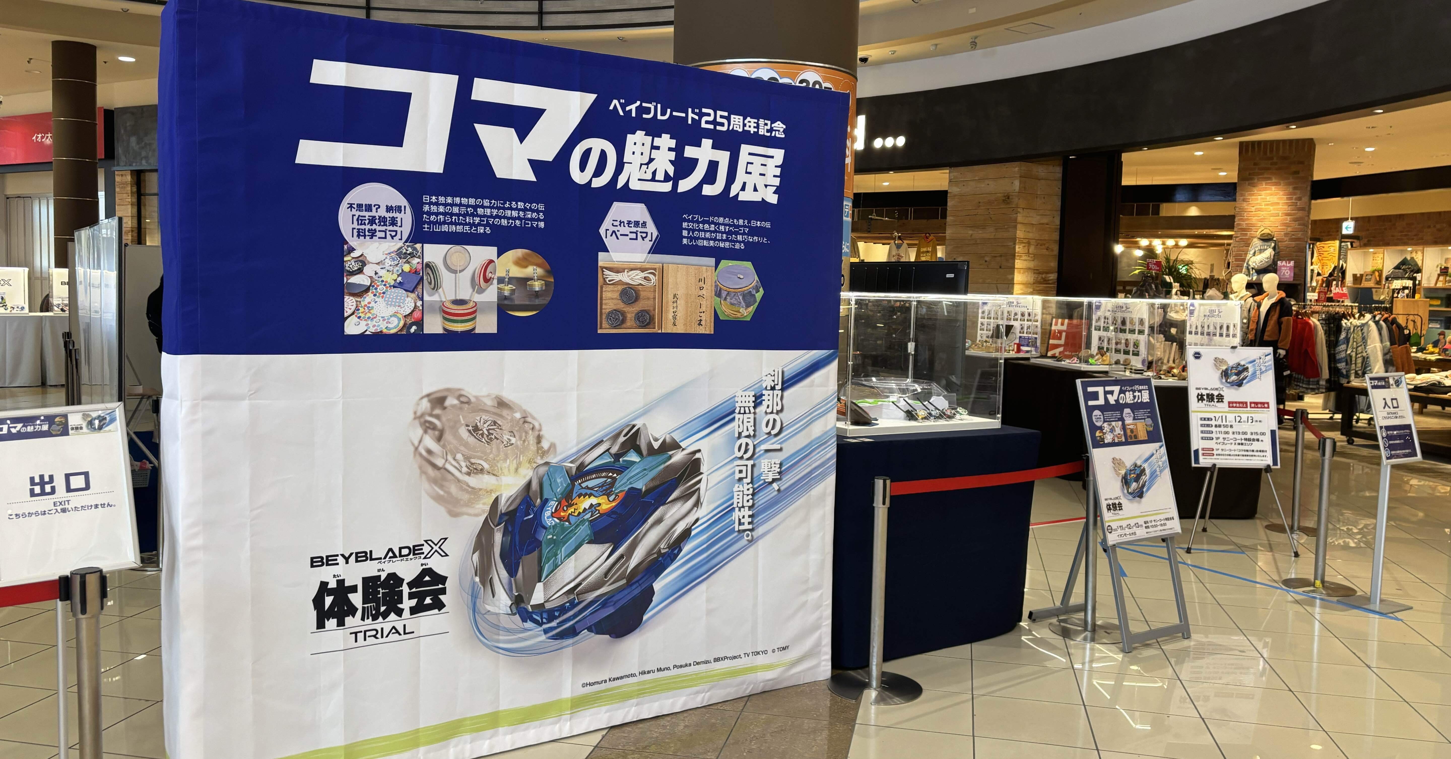 コマの魅力展（ベーゴマ考104）｜『あそび』と『まなび』研究所