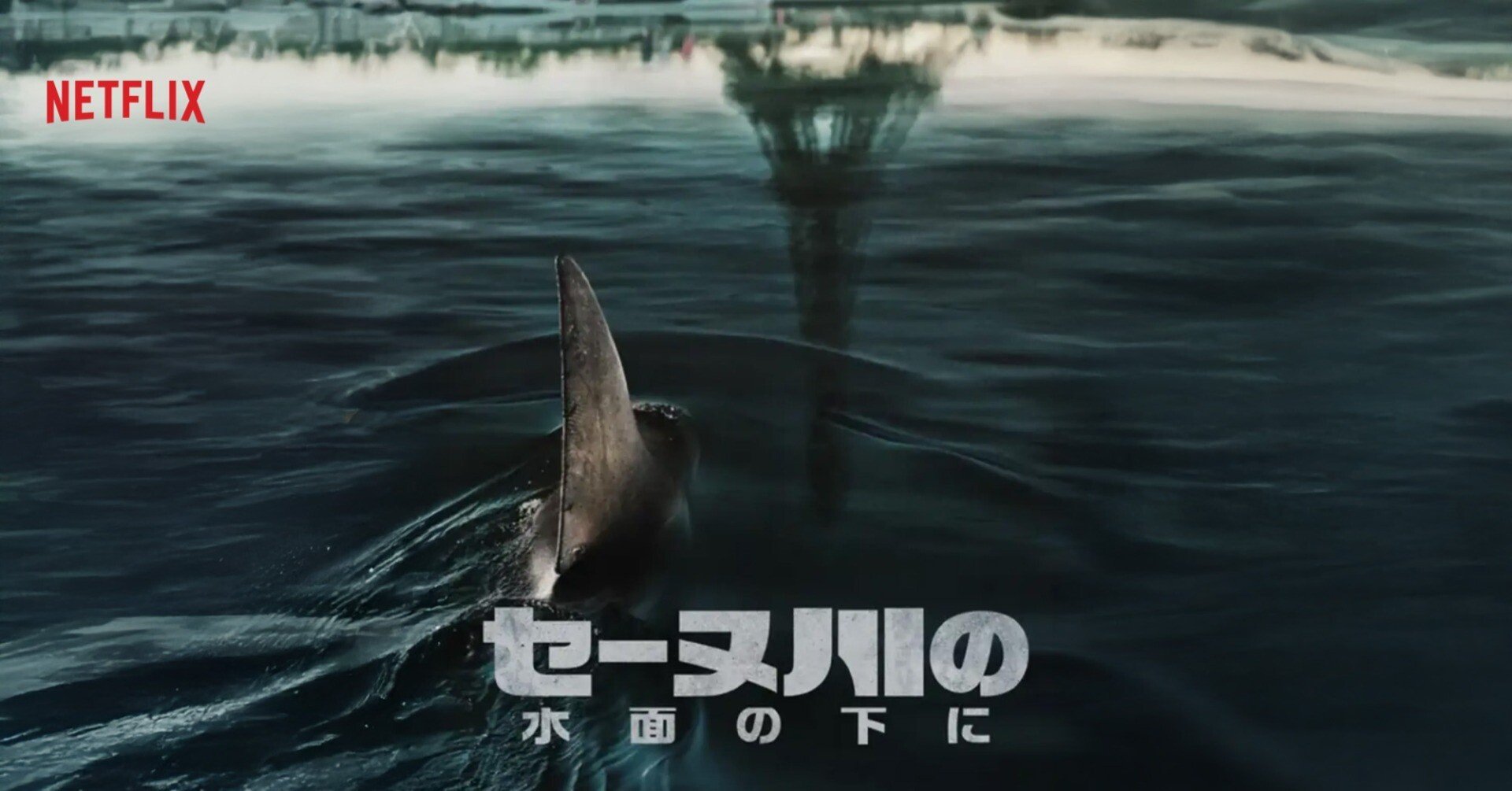 セーヌ川の水面の下に（乃木坂46 中西アルノ激推）｜トニーたに