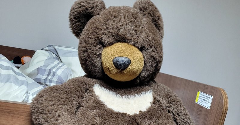 雲ちゃんと熊ちゃん テディベア くま アーティスト ぬいぐるみ 海外作家様 雲ちゃんと熊ちゃん テディベア くま アーティスト ぬいぐるみ 海外