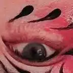 でぃる猫さん