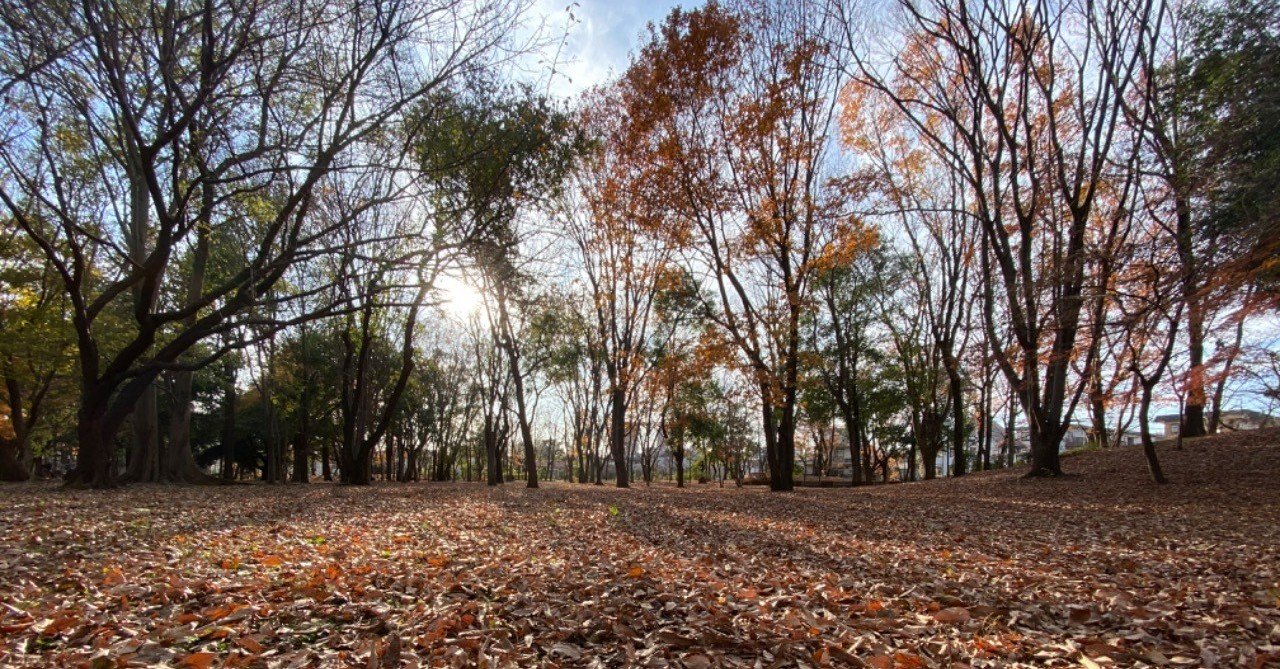 自分に自信がなくなる瞬間 ぱりかん 吉住大輔 Note 自分に自信がなくなる瞬間 ぱりかん 吉住大輔 Note
