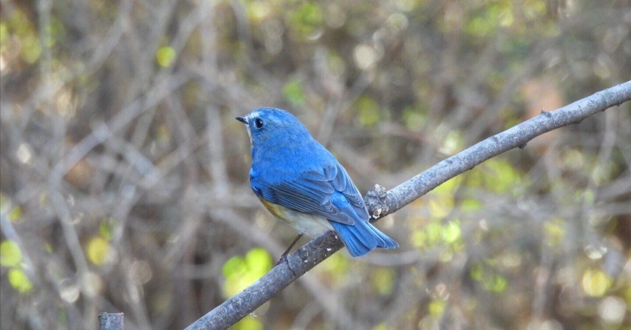 rectangle_large_type_2_cb516f1