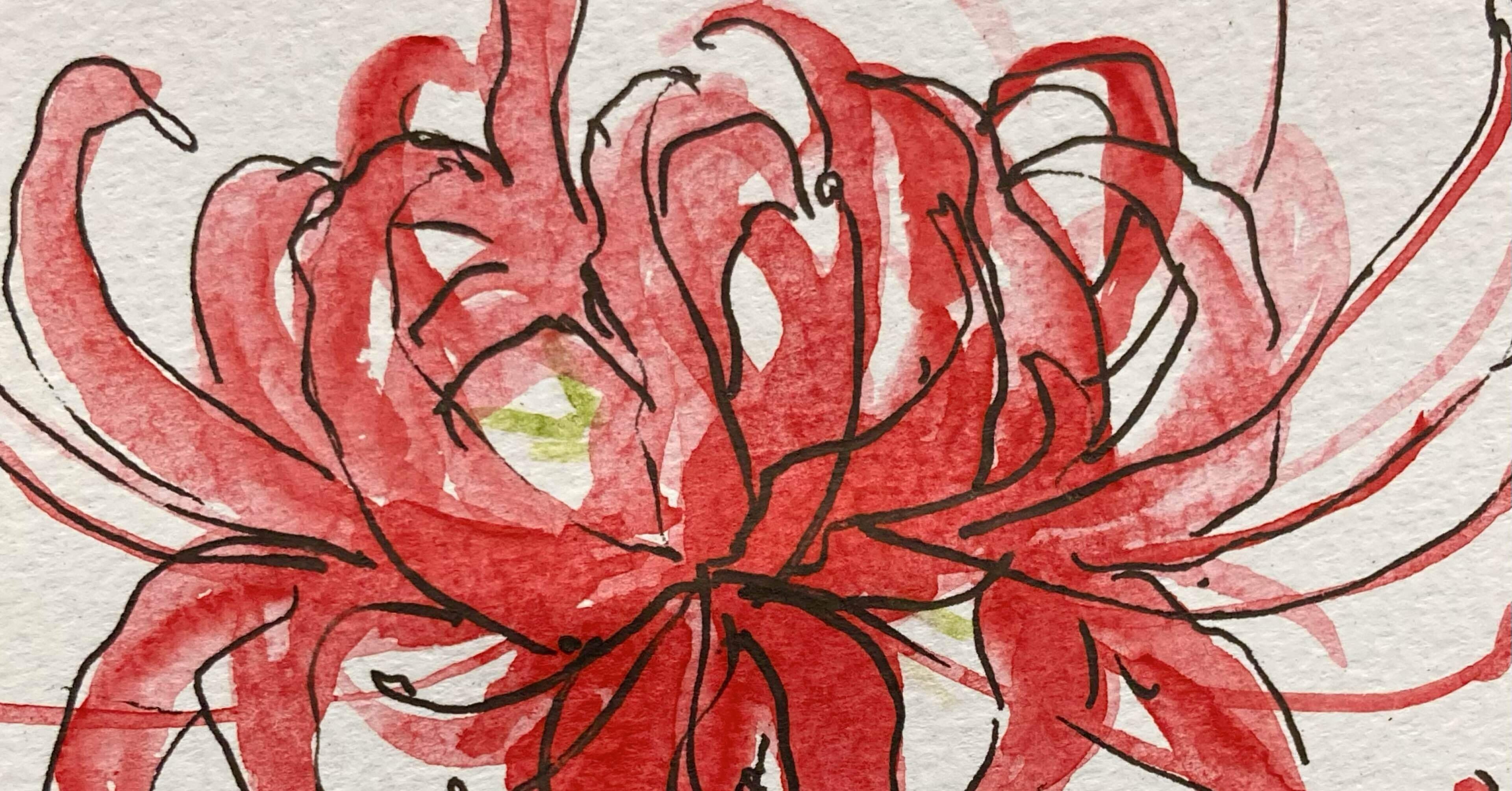 スケッチ「彼岸花」｜樹