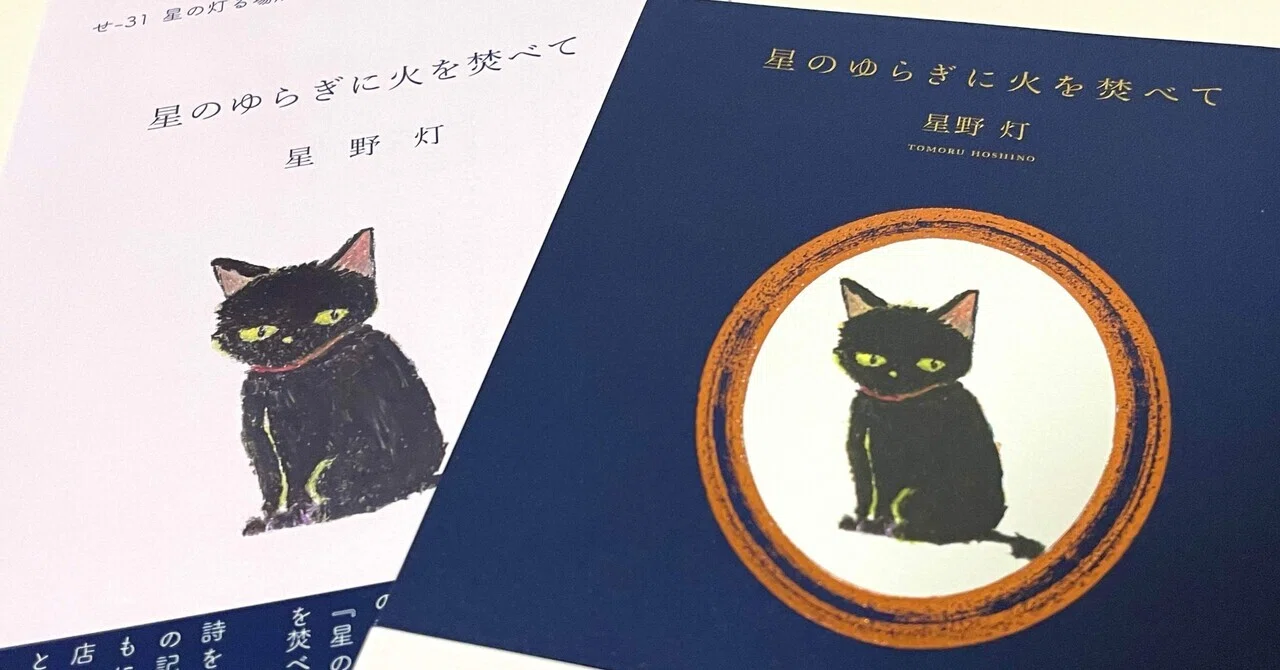 文学フリマから詩集出版へ。｜星野灯