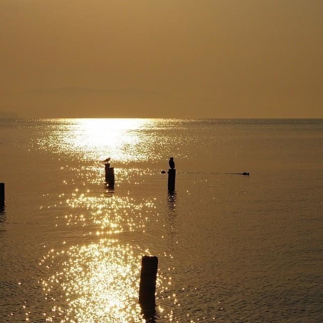 これは Trasimeno Lake という イタリアは Umbria 地方の湖の写真 ただただ息を呑む美しさです Didier Merah ディディエ メラ Note これは Trasimeno Lake という イタリアは Umbria 地方の湖の写真 ただただ息を呑む美しさです Didier Merah ディディエ メラ Note