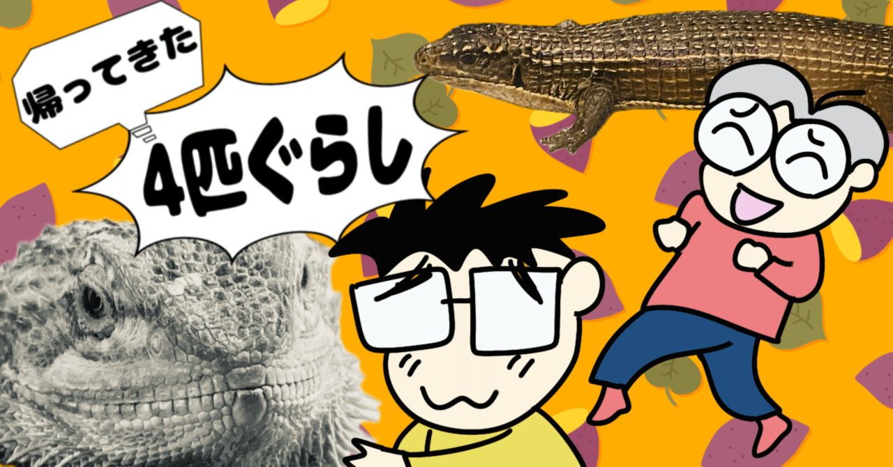 ➈ Fちゃんの新居 その後〜｜ぱーかー