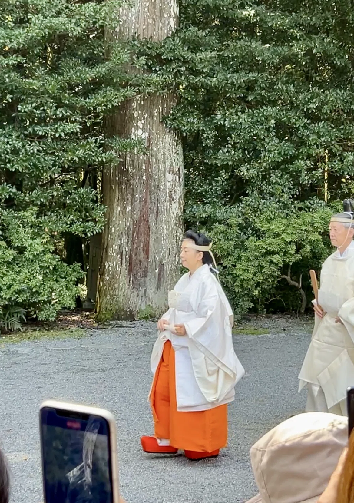 公の場での発言・インタビュー報道記録