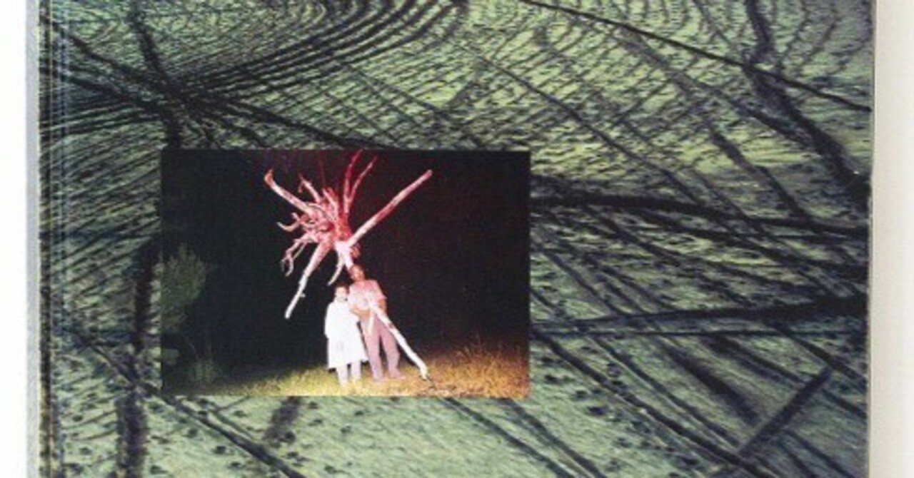 志賀理江子 螺旋海岸 Notebook 赤々舎 志賀理江子 螺旋海岸 Notebook 赤々舎 Amazon.co.jp: 螺旋海岸 album