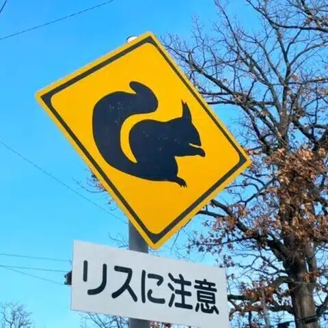 ちょこ（思考の整理収納塾）