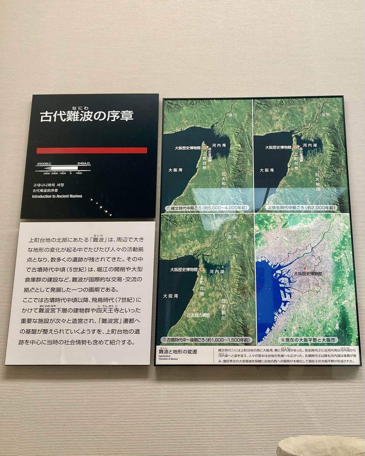 叔父の蔵から出てきた骨董品宝物 【公式通販】