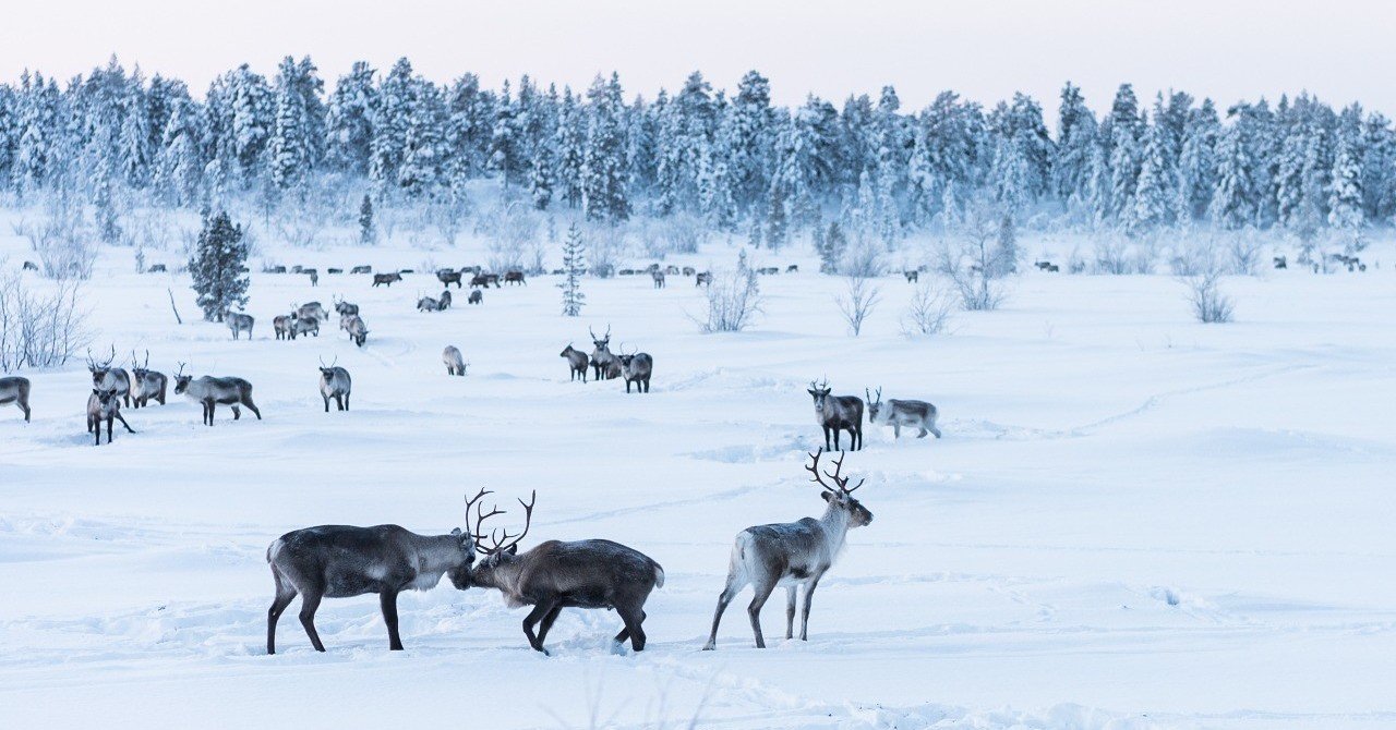 販売予定のなかった限定フォトブックが 100冊売れた理由 Photoback For Bizにインタビュー記事を掲載頂きました 横田裕市 写真家