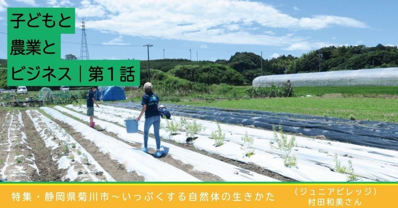 ジュニビレカバー__3_