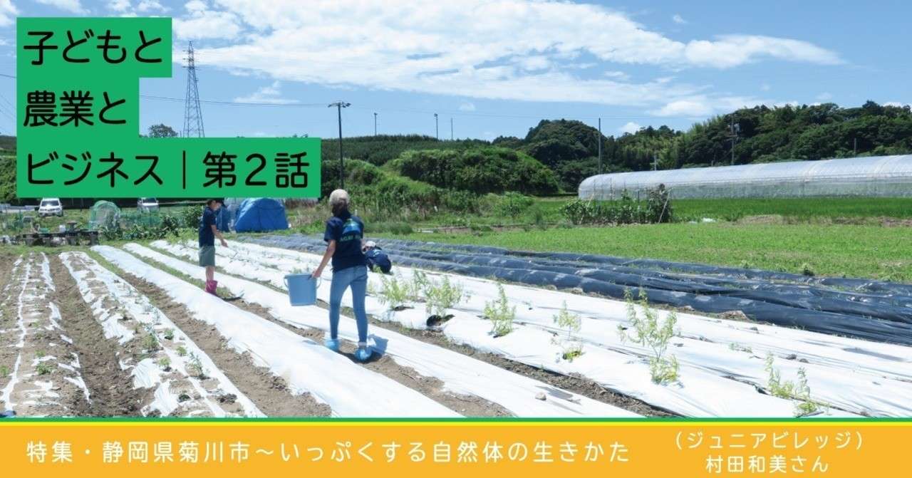 ジュニビレカバー02