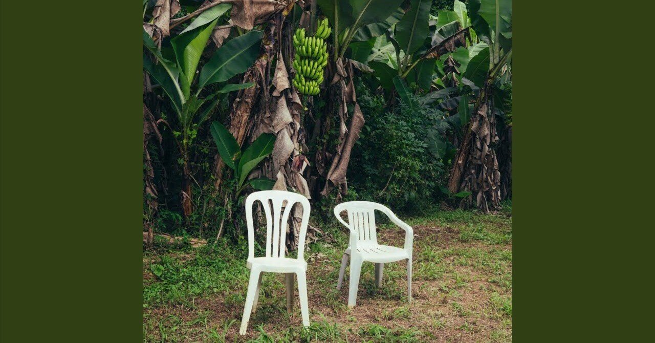 バッド・バニー新作『Debí Tirar Más Fotos』—音楽で伝える人生の大切